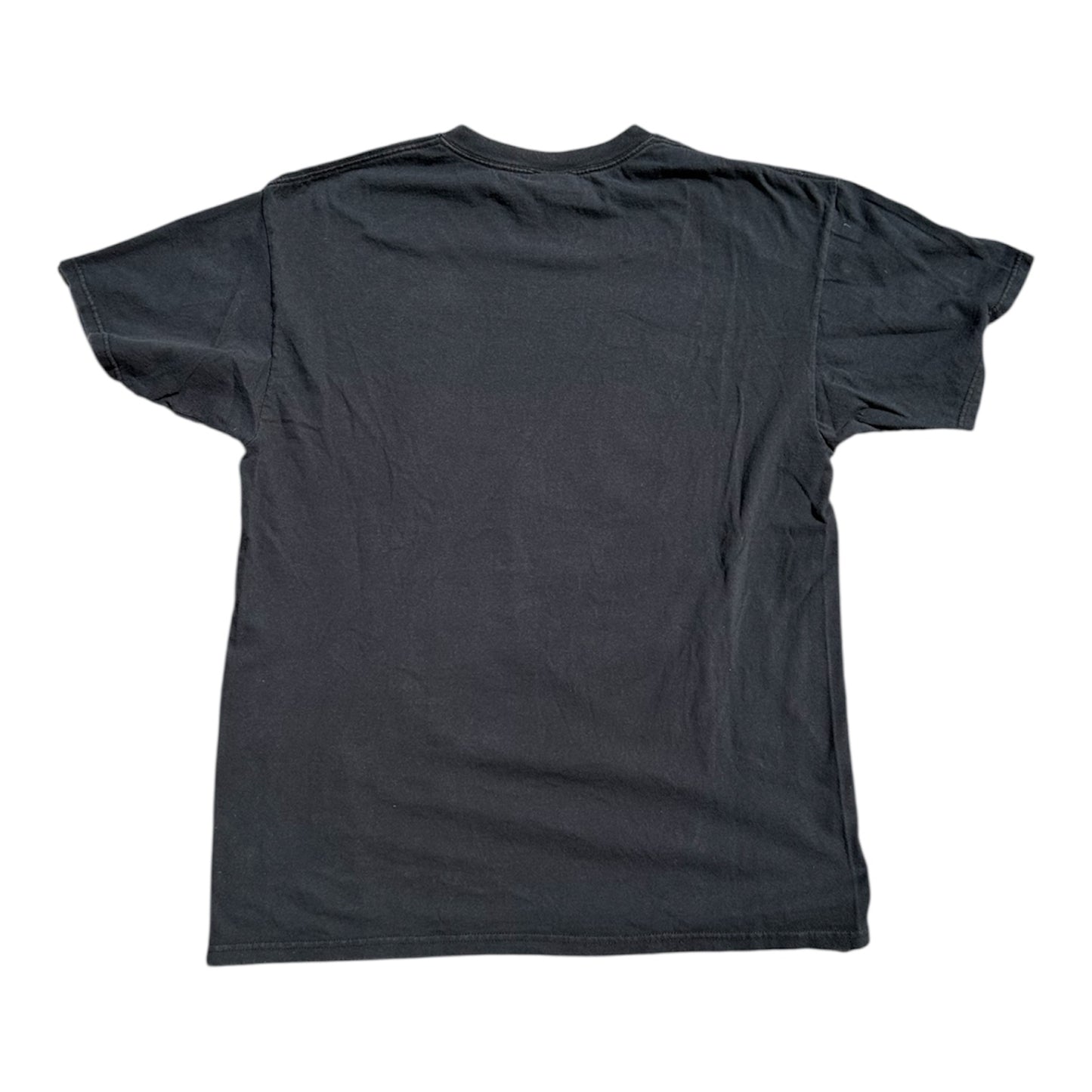 Y2K NFL New England Patriots Mascot T-Shirt