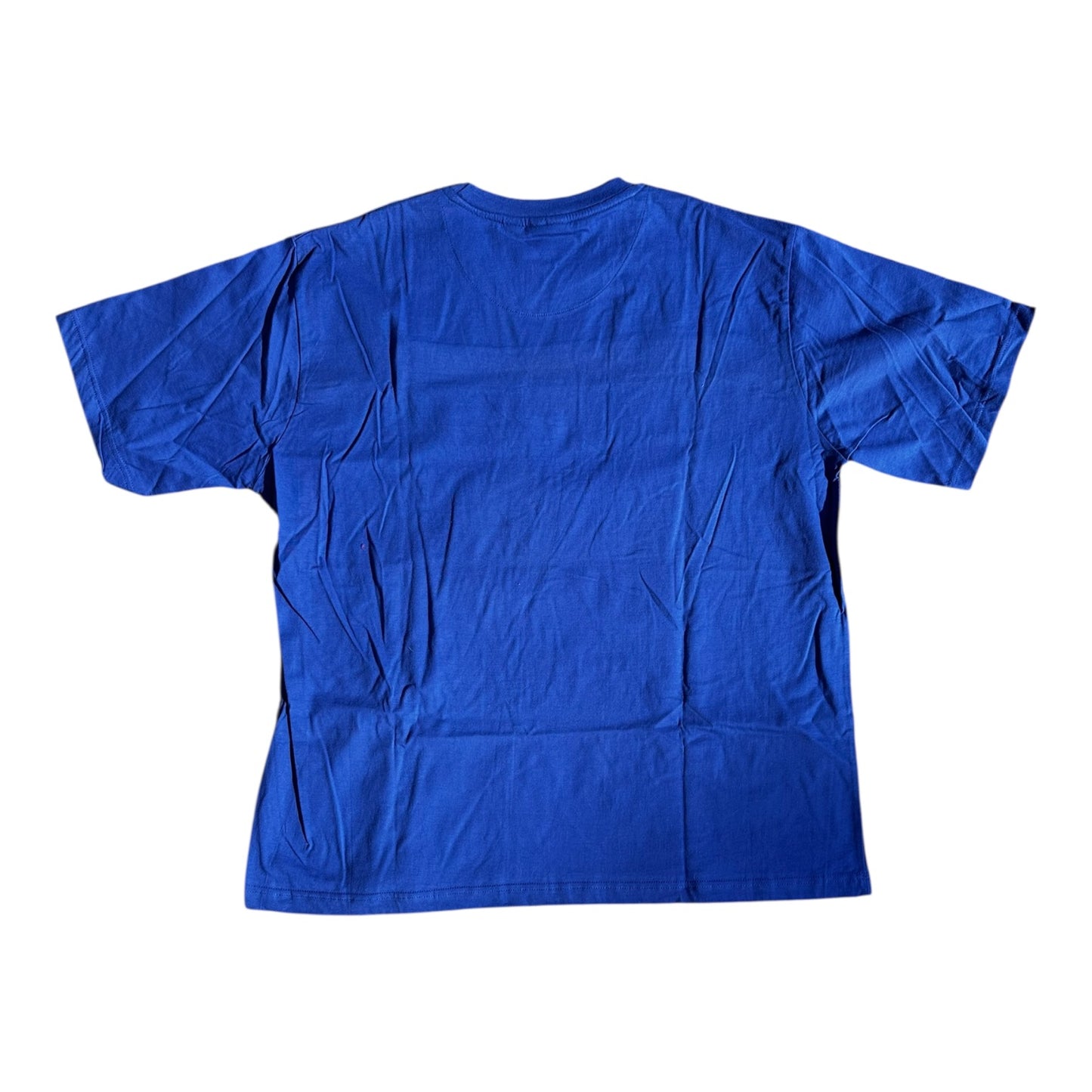 Vintage Y2K Kentucky Wildcats Embroidered T-Shirt